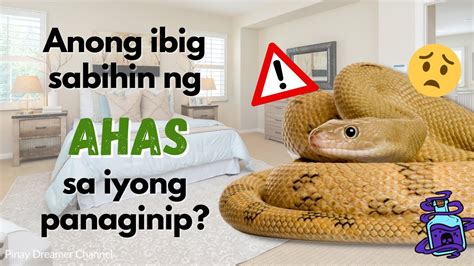 panaginip na ahas|16 Kahulugan Kapag Nanaginip Ka Tungkol sa Mga Ahas.